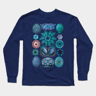 Ernst Haeckel Ascidiae Sea Squirts Teal Long Sleeve T-Shirt